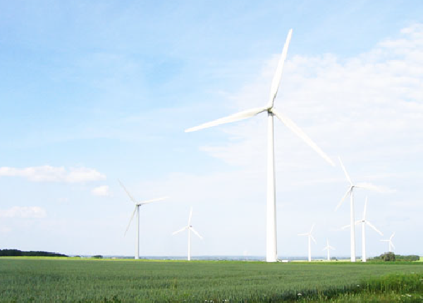 All-in-One Capture®